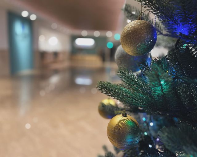 ⁡
クリスマスまで残り1週間🎅🏻✨️
⁡
当館もロビーにクリスマスツリーを飾っております🎄.*
⁡
フロントスタッフで集まって飾り付けをしました！
是非ご覧くださいませ𓂃🤵🏻🤵🏻‍♀️
⁡
飾り付けをしている様子は
ストーリーのアーカイブより見ることができます🫣
⁡

#kagoshima #鹿児島 
#hotel #ホテル 
#鹿児島ホテル
#リニューアルオープン #リニューアル 
#観光 #天文館
#ホテルサンデイズ
#ホテルサンデイズ鹿児島
#ホテルサンデイズ奄美