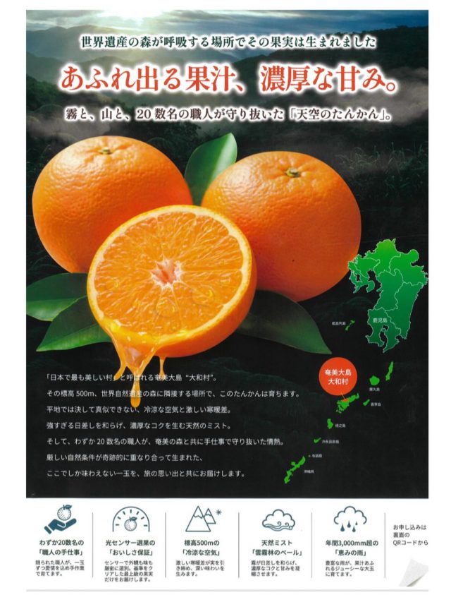 【奄美大島大和村産のたんかんのご案内です🍊⸒⸒】
⁡
大和村の森職人が育てたたんかんの中から、
糖度と酸味のバランスを光センサーで計測して
最高潮に達した果実のみを厳選！！🍊⸒⸒
皮をむいた瞬間に広がるフレッシュな香り、
口いっぱいにあふれる濃厚な果実をお楽しみ頂けます！
⁡
販売サイトからもご購入出来ますので、
ぜひ！今が旬の奄美大島大和村のたんかんをご賞味ください！🍀
⁡
～お知らせ📣～
2026/2/3～約2週間程
当ホテルの朝食バイキングでたんかんを提供致します🍊！
御宿泊される際には是非！ご賞味くださいませ🤵🏻‍♀️🤵🏻

⚠️たんかん提供は不定期となる為、予めご了承くださいませ
⁡
 #ホテルサンデイズ鹿児島
 #ホテルサンデイズ奄美
 #たんかん
 #大和村たんかん
 #朝食バイキング